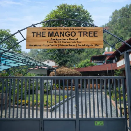 The Mango Tree- Backpackers Hostel
