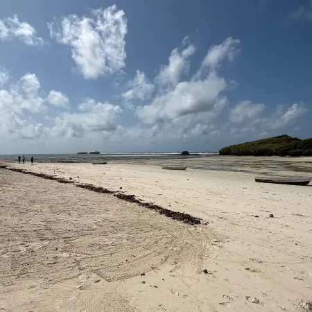 Simba House Watamu - KENYA