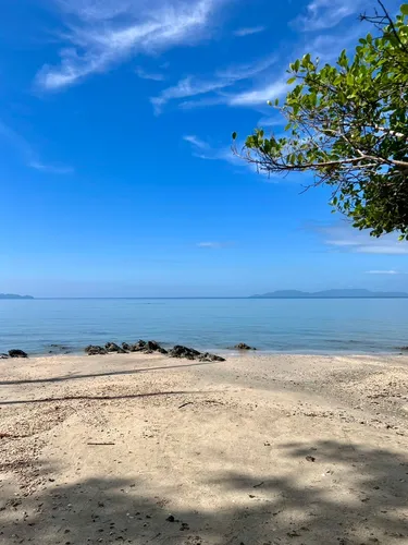 รูปภาพของSunny Hill House - Ocean View Luxury Large Groups