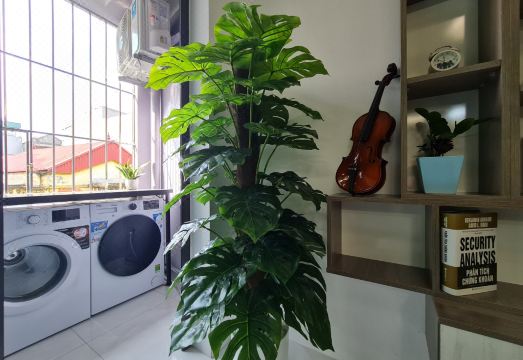 더 리틀앤 홈스테이