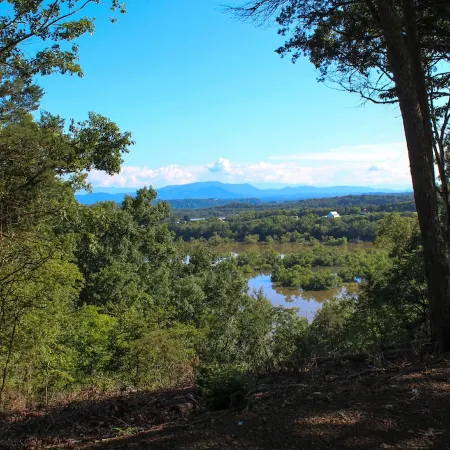 The Shroom Room | Romantic Dome with view near Smokies on Nolichucky River