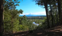 The Shroom Room | Romantic Dome with view near Smokies on Nolichucky River - Mountain view