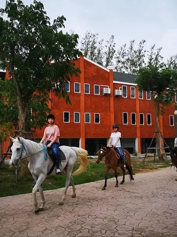 รูปภาพของฟาร์มม้าอัมพวา