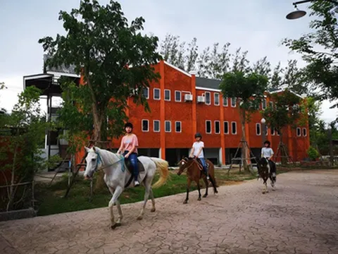 รูปภาพของฟาร์มม้าอัมพวา