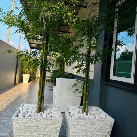 Looe Mansion@Pinjistation (15pax 6br)