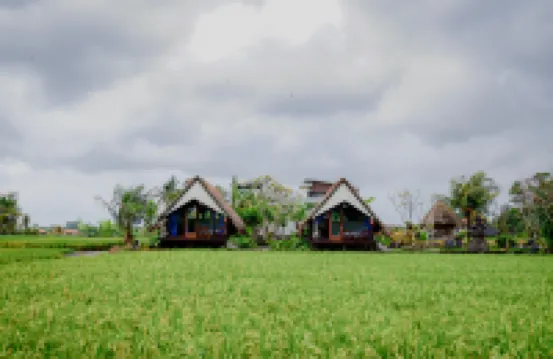 Ubud Rice Field Stay - Mahari by WAHM