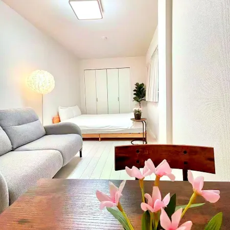 1Room28 ㎡, near Skytree. Direct access to Skytree, Asakusa , Ginza, and Nihonbashi, airport.