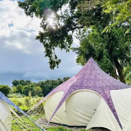 Xuanmuju Campsite Отели рядом с достопримечательностью «Чистые фермы»