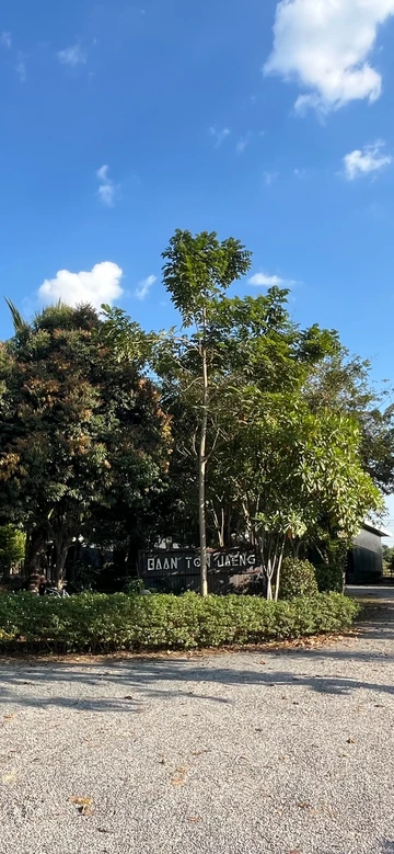 รูปภาพของบ้านต้นแจง