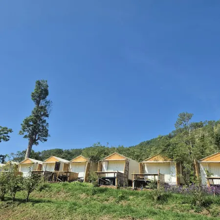 Doymoktawanview