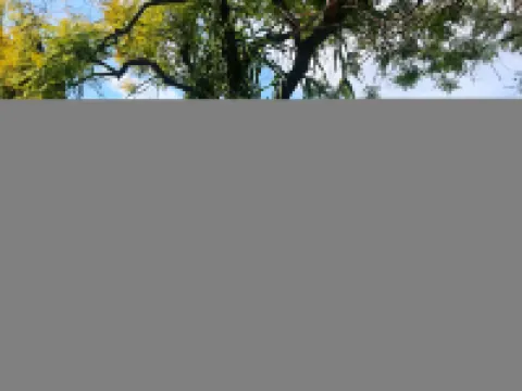 Alhambra Private Suite with Bath & Parking