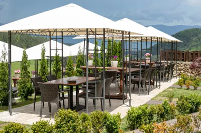 Alpine Castle Hotel Hotels in 