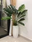 Vinhone Grand Park Homestay - ZEN Garden Residence