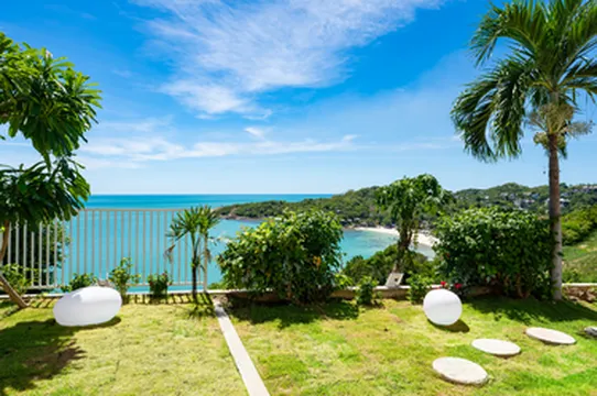 รูปภาพของMonkey Queen