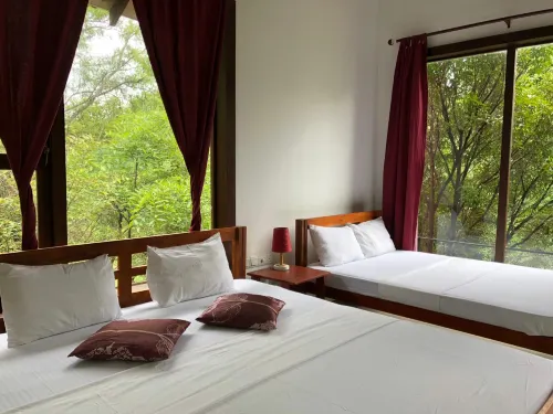 Sky Forest - Pet friendly