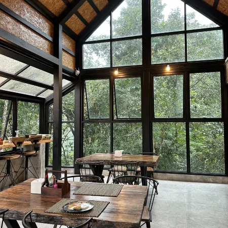 Hi Land Forest View