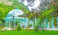 eco cottage for rent in Borjomi Hotels in Borjomi