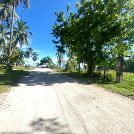 Hibiscus Dive Inn