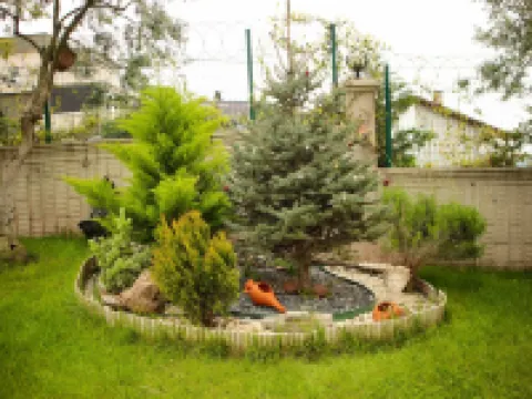 VILLA KURTULDU Hotels in Gemlik