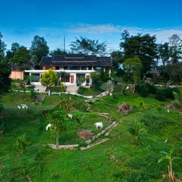 The Moon Rabbit Resort