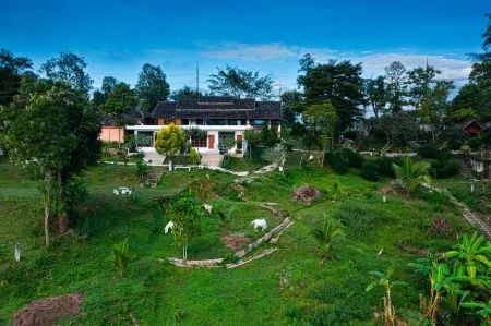 The Moon Rabbit Resort