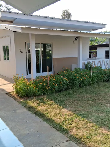 รูปภาพของThe little Geko house