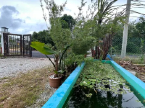 Mahasa Penarik Homestay Hotel di Setiu