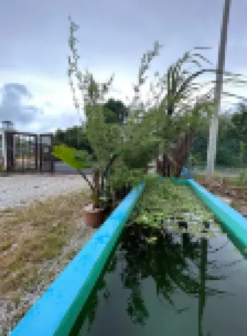 Mahasa Penarik Homestay