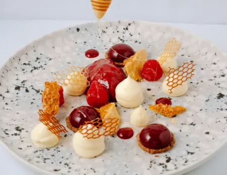 Hôtel Maison Pavlov - Restaurant & Spa - Bordeaux Bouscat