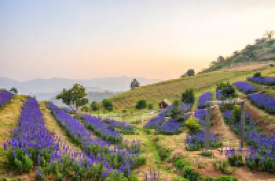 Phuwin Homestay Monjam