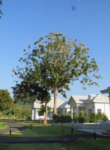 Stayokay ที่พักสัตหีบ