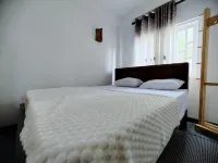 Wooden Villa Bungalow Hotels in 