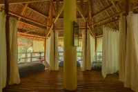 Water to Forest Ecolodge Hotels in Loboc