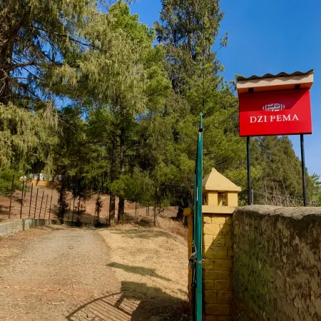 Dzi Pema