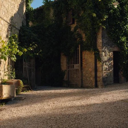 Fattoria San Donato