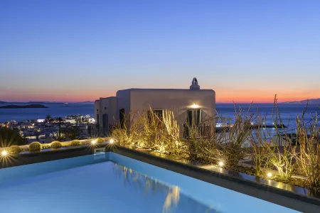 She Mykonos Boutique Hotel Отели в г. Klouvas