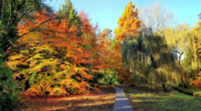 Spacious Seaside 2-Bed Apt w/ Free Gym & Parking