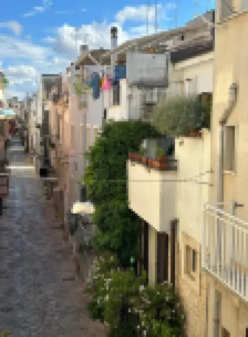 [Casa Camelia] Elegant Palace with Terrace