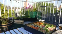 Designed Penthouse Amsterdam City Center - Pensions