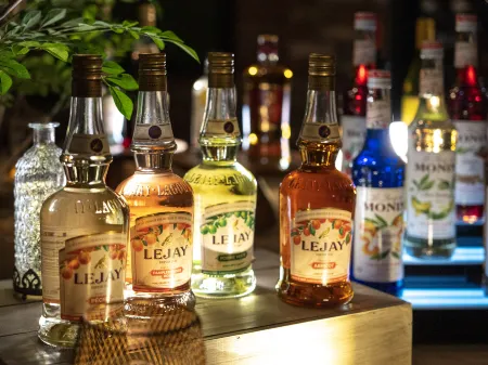 SUPER HOTEL Premier Aso Kumamoto Airport