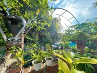 Ninh Binh Kong's Homestay Hotels in Ninh Nhat