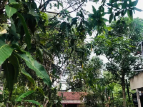 Chathu Villa Bentota ベントータのホテル