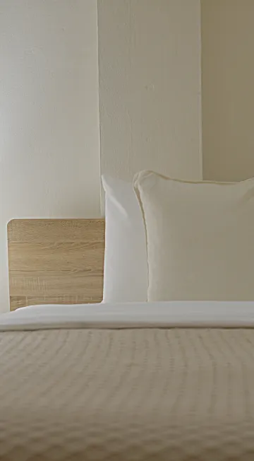 ดีลักซ์เตียงคิงเบด (101)