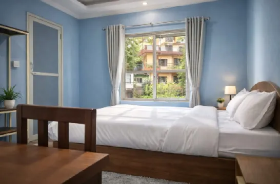 The Mango Tree- Backpackers Hostel 酒店