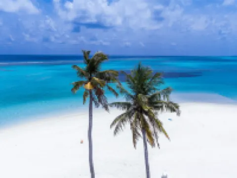 Dhangethi Inn Hotels in Dhangethi