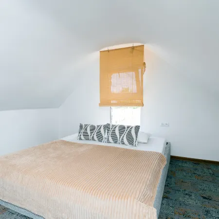 Modern Tiny House
