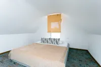 Modern Tiny House - جديد