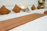 Cortis homestay - Интернет
