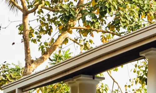 Villa White Queen By Ceylon Itinerary