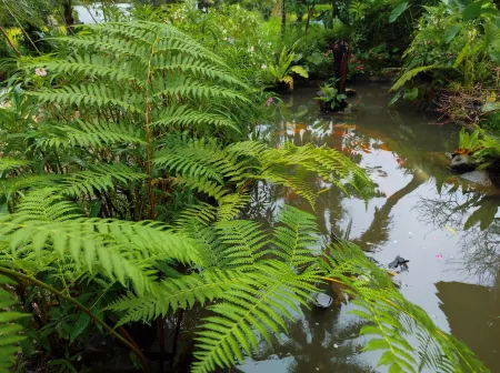 Billi Family Отели в г. Kembang Kuning